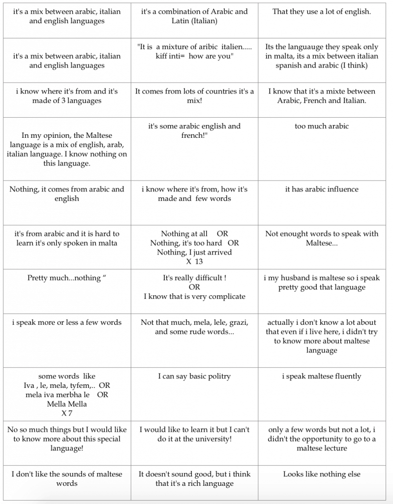 What do you know about Maltese Language?