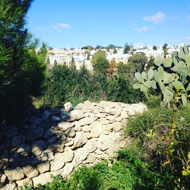 Maltese Countryside with rubble wall